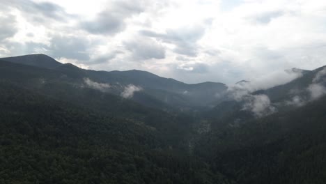 An-Einem-Bewölkten-Tag-über-Ein-Tal-Fliegen,-Das-Von-Kiefernwäldern-Und-Tief-Hängenden-Wolken-Bedeckt-Ist