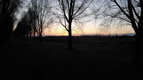 Silhouette-Von-Kahlen-Bäumen-Im-Wald-In-Der-Abenddämmerung-Im-Winter