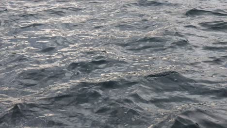 Close-up-of-water-surface-rippling-in-wind