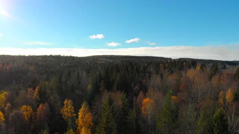 Aufsteigende-Drohnenaufnahmen,-Die-Einen-Farbenfrohen-Herbstwald-Mit-Einem-Wunderschönen-Blauen-Himmel-Im-Hintergrund-Zeigen