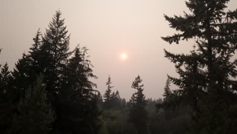 Aerial-view-of-Hazy-sky-and-pink-sun-from-forest-fires