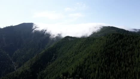 Advection-fog-slowly-purs-over-the-top-of-a-forest-covered-ridge,-aerial-dolly