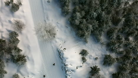 Increasing-aerial-view-of-a-two-people-walk-in-a-snowy-forest,-Black-Forest,-Germany