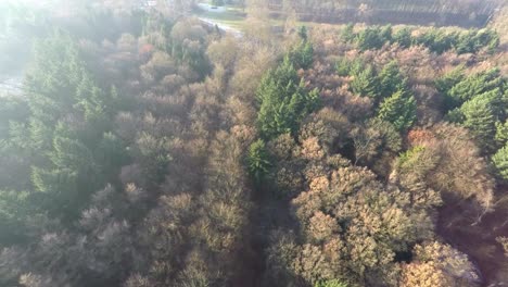 Aerial-footage-to-mansion-in-winter-forest