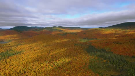 Aerial-footage-flying-to-the-right-high-over-golden-autumn-forest-with-cloud-shadows