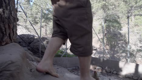 Young-man-walks-barefoot-down-the-ground-stairs-to-feed-some-chickens