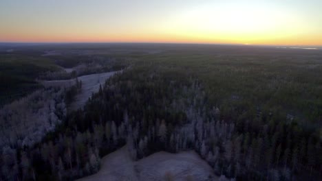 Aerial-shot-of-a-finnish-spruce-forest-during-the-first-days-of-winter