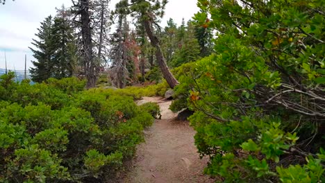 Toma-Estabilizada-De-Camino-Con-Turistas-En-El-Punto-Del-Glaciar-En-El-Parque-Nacional-De-Yosemite,-California,-Ee.uu.