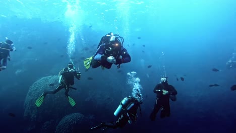 Safety-stop-five-meters-below-sea-surface