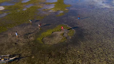 Luftflug-über-Kristallklarem,-Türkisgrünem-Küstenriffwasser-In-Bohol,-Philippinen