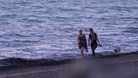 Dos-Mujeres-Jóvenes-Con-Pug-Caminan-A-Lo-Largo-De-La-Tranquila-Costa-Del-Mar-Al-Atardecer-Romántico-Y-Pintoresco,-Plano-Medio-Desde-La-Distancia