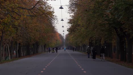 People-Enjoying-A-Good-Day-Walking,-Cycling-And-Getting-Together-Along-The-Park-Pathway-Of-Prater-With-Beautiful-Autumn-Trees-On-The-Side---Wide-Steady-Shot
