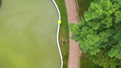 Aerial-top-down-view,-woman-with-yellow-umbrella-walks-near-a-lake