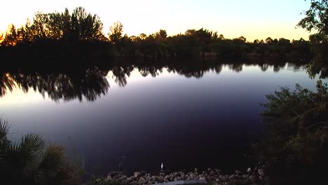 Pájaros-Volando-Sobre-El-Río-Saint-Lucie-Del-Sur-De-Florida-Al-Atardecer-En-El-Condado-De-Martin