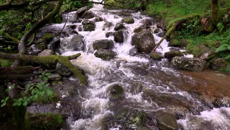 The-Poulanass-river-tumbles-over-boulders-at-the-top-of-the-water-falls-in-Wicklow-National-Park,-Ireland