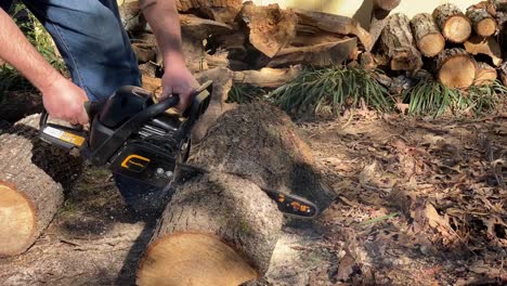 Man-in-blue-jeans-using-a-popular-pro-chainsaw-on-a-large-log-from-a-tree