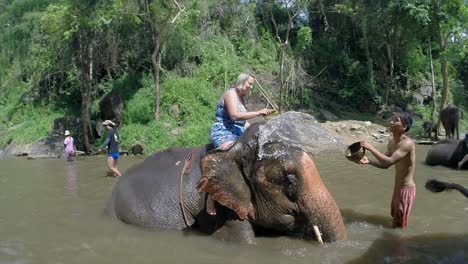 Caucasian-tourist-bathes-an-adult-Elephant-in-Northern,-Thailand
