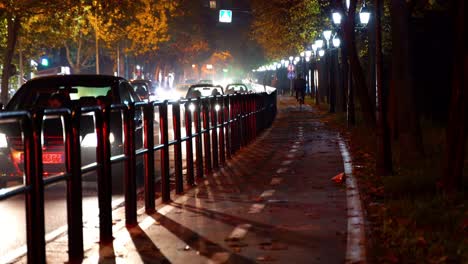 Paisaje-Nocturno-Con-Coches-En-La-Calle-De-La-Ciudad-Rodeados-De-Barandillas-Y-Luces-De-Carretera-Del-Parque-Con-Bokeh-En-Perspectiva