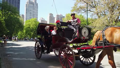 Los-Turistas-Montan-Un-Carruaje-En-Central-Park,-Ciudad-De-Nueva-York