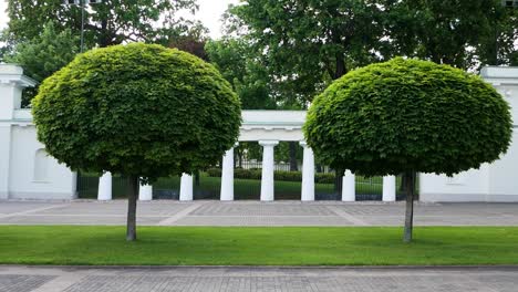 Perfekt-Geformte-Bäume-Im-Präsidentenpalast-Von-Vilnius