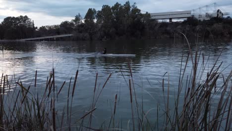 Cámara-Lenta,-Persona-Remando-En-Canoa-Pasando-Plantas-De-Totora-Cerca-Del-Atardecer