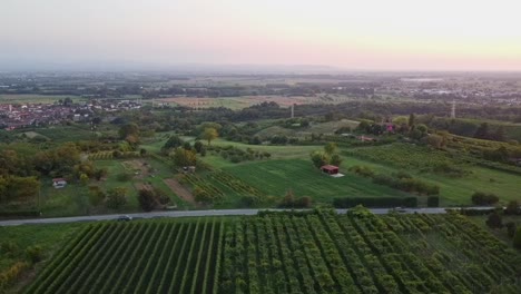 Hills-with-vineyards-in-Italy-at-sunset-50-fps