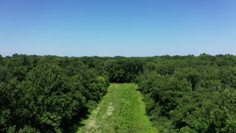 Drone-Despega-Sobre-Frondosos-árboles-Verdes-Y-Tierras-De-Cultivo-Hasta-Donde-Alcanza-La-Vista,-Maryland