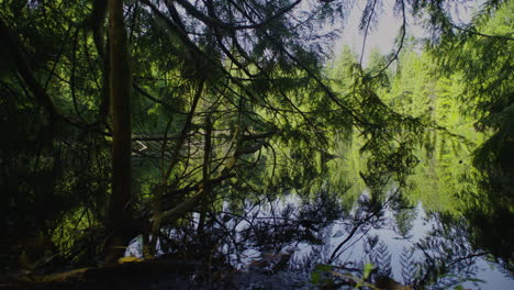 Schiebeshooting-An-Einem-Sonnigen-Tag-Auf-Einer-Seite-Des-Mundy-Lake-Park