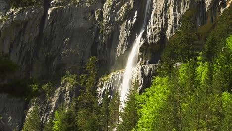 Hoher-Wasserfall-über-Kiefernwald,-Pyrenäen