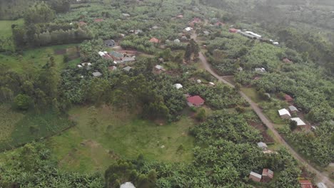 Aerial-drone-shot-of-some-houses-scattered-by-green-and-nature