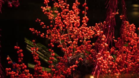 Herauszoomende-Aufnahme-Eines-Dubliner-Blumenladens,-Der-Zur-Weihnachtszeit-Mit-Dekoration-Im-Fenster-Geschlossen-Ist