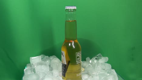 1-2-Vasos-De-Cerveza-Coronita-Corona-Extra,-Botella-Pequeña-De-200-Ml-En-Un-Cubo-Enfriador-Helado,-Girando-Un-Círculo-De-180-Grados-Frente-A-Una-Pantalla-Verde-Para-Disfrutar-De-Una-Experiencia-Refrescante-Y-Entretenida