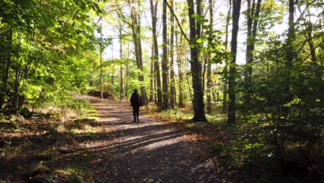 Hiker-on-Beautiful-Scandinavian-Forest-Path-in-Sweden-Landscape