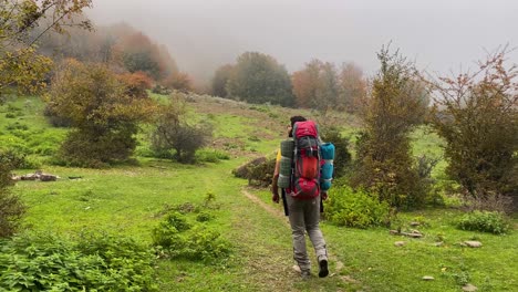 A-Man-With-Yellow-Shirt-and-Red-Backpack-is-Walking-in-a-Fresh-Forest-in-Autumn-Hiking-Tour-for-Camping-in-Wild-to-Take-Photo-From-Nature-and-Orange-Leave-Trees-on-Green-Hills-in-Savadkuh-Mountains