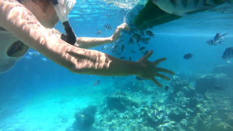 Woman-does-snorkelling.-Underwater-Colorful-Tropical-Fishes