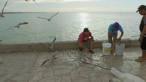 Möwen-Fliegen-über-Dock-Und-Fischer-Puerto-Progreso-Leben-In-Merida-Yucatan-Mexiko