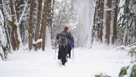 En-Cámara-Lenta,-La-Nieve-Cae-Alrededor-De-Un-Grupo-De-Personas-Caminando-Con-Raquetas-De-Nieve-A-Través-De-Un-Bosque-De-Pinos-Invernal