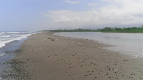 AERIAL:-Slow-motion-pelicans-and-seagulls-flying-on-tropical-beach,-Honduras-3