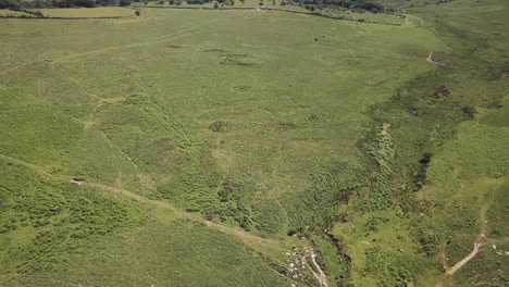 Aerial-push-over-a-green-valley-in-Dartmoor-National-Park,-United-Kingdom