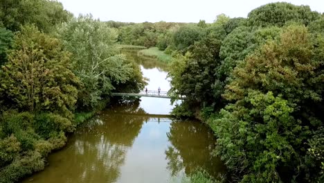 Drone-view-of-people-walking-across-a-bridge-in-the-park