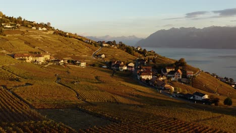 Flying-low-over-Lavaux-vineyard-close-to-Aran-village,-Switzerland