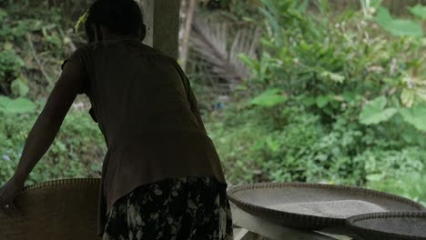 Slow-motion-of-Indonesian-Muslim-woman-winnowing,-processing-the-rice-in-the-Traditional-Sundanese-village-Kampung-naga