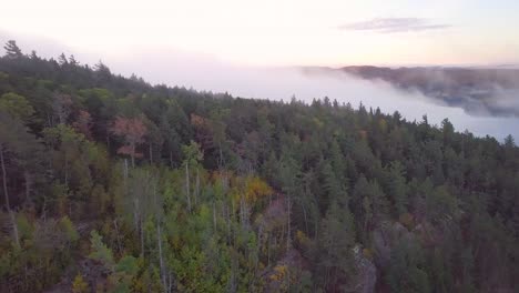 Aerial-Sunrise-Wide-Shot-Flying-Over-Fall-Forest-Colors-On-Huge-Tall-Foggy-Rocky-Ridge-Pans-Right-To-Reveal-Misty-Lake-With-Fog-Covered-Pine-Tree-Islands-And-Pink-Clouds-in-Kawarthas-Ontario-Canada