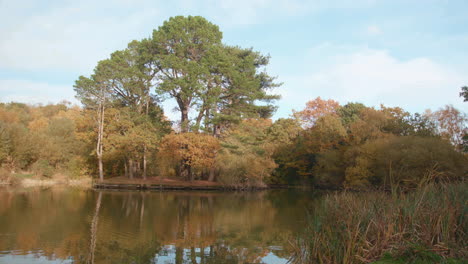 Lake---Pond-With-Trees-At-Autumn---Fall-Time