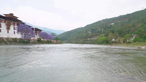 Schwenk-Des-Punakha-Dzong-Am-Fluss-Mit-Blick-Auf-Jacaranda-Blumen