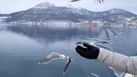 Boat-trip-on-the-Lake-in-Hokkaido,-people-feeding-the-seagulls