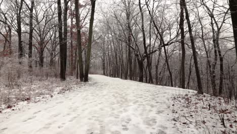 A-slow-motion-wide-angle-view-of-a-snowy-forest-trail-in-winter