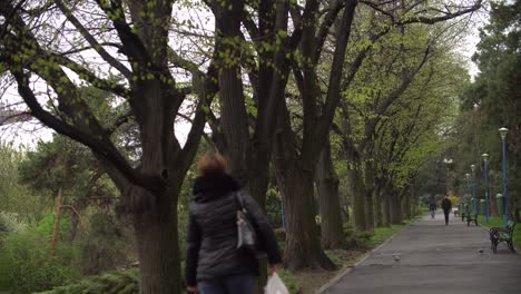 Aufnahmen-Einer-Gasse-Im-Frühlingspark-An-Einem-Regnerischen-Tag,-Menschen-Gehen-Spazieren