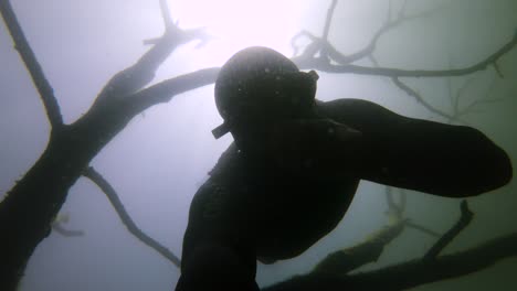 Freediver-En-Un-Traje-De-Neopreno-Negro-Buceando-A-Través-De-Las-Ramas-De-Un-árbol-Muerto-En-Una-Cantera-De-Agua-Dulce-Inundada-Con-El-Sol-Detrás-De-él