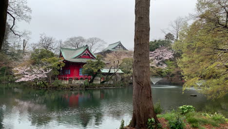 Santuario-Inokashira-Benzaiten-Frente-A-Un-Lago-Con-Flor-De-Cerezo